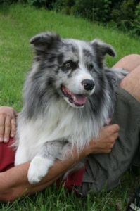 DAVINCI