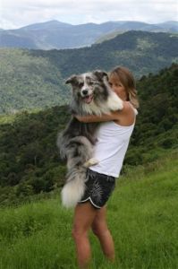 One spoilt boy, loves his kisses & cuddles!