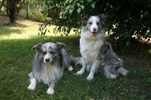 DAVINCI and GEMMA [father/daughter]