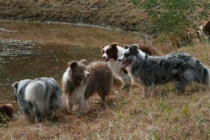 Gathering at the dam.