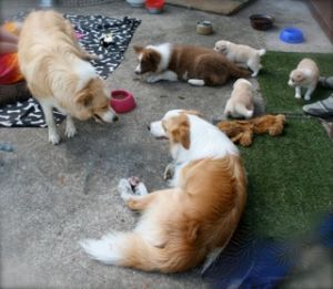 ARIZONA, PHOENIX, DAKOTA, AND BABIES.