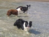 KIRRA and friends at Fingal.